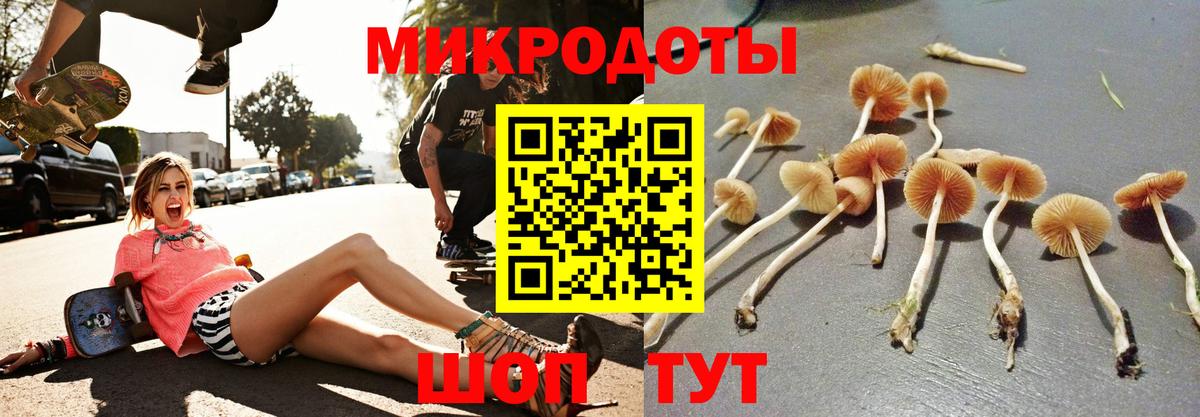 цена   Галлюциногенные грибы мицелий  Вход с VPN  Дубна 